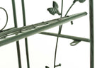Pastatoma lentyna Arona