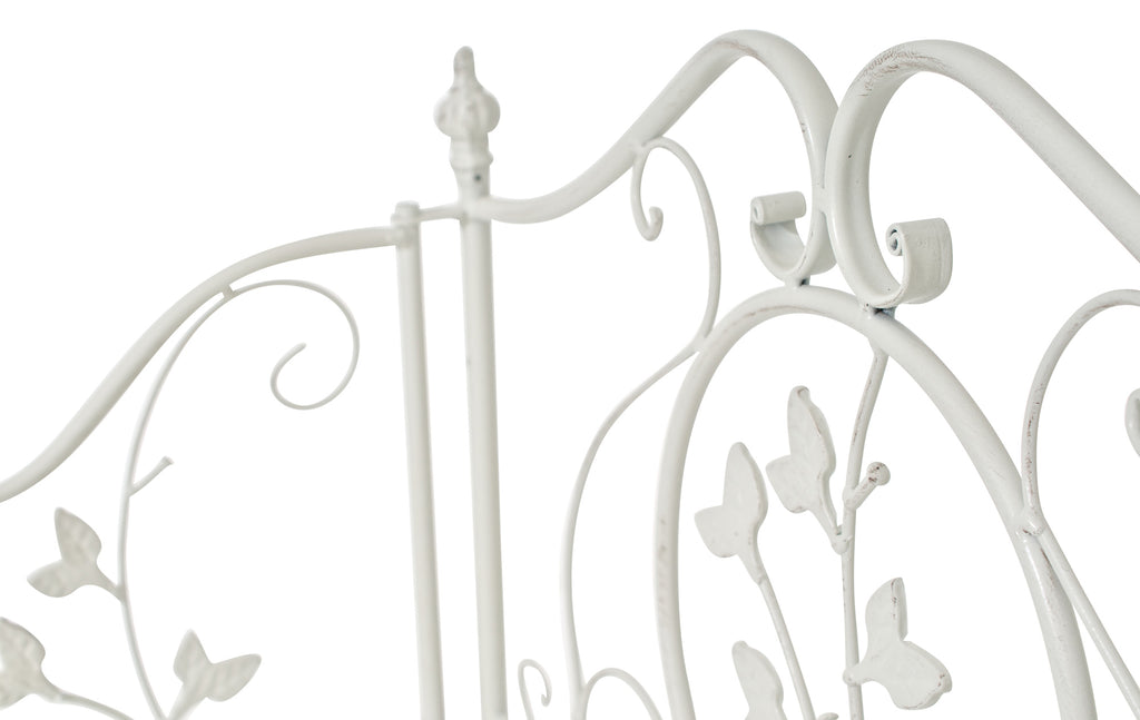 Pastatoma lentyna Arona