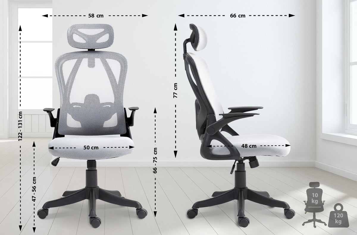 Ergonominė biuro kėdė Taos