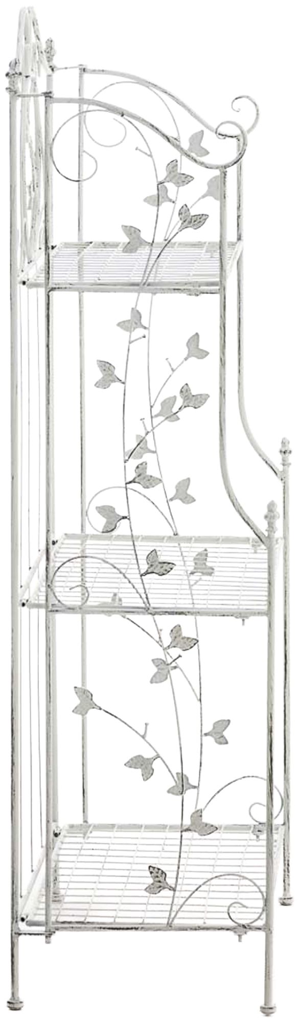 Pastatoma lentyna Reus