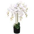Dirbtinė orchidėja su vazonu, 75 cm, balta