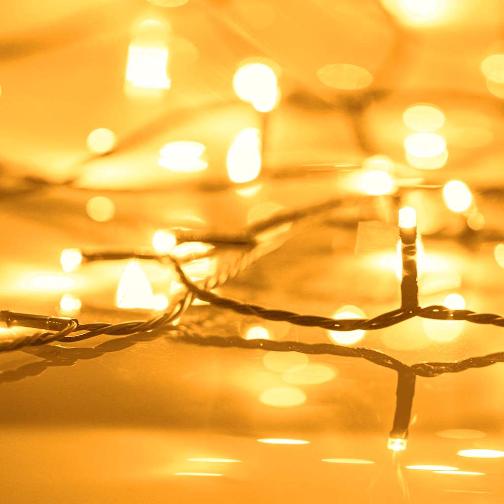 Girlianda su 600 LED lempučių, 06m, 8 šviesos efektai, IP44