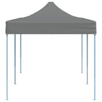 Prie sienos montuojama pavėsinė, taupe spalvos, 4x3x2,5m