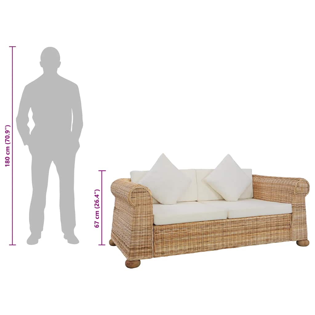 Dvivietė sofa su pagalvėlėmis, natūralios spalvos, ratanas