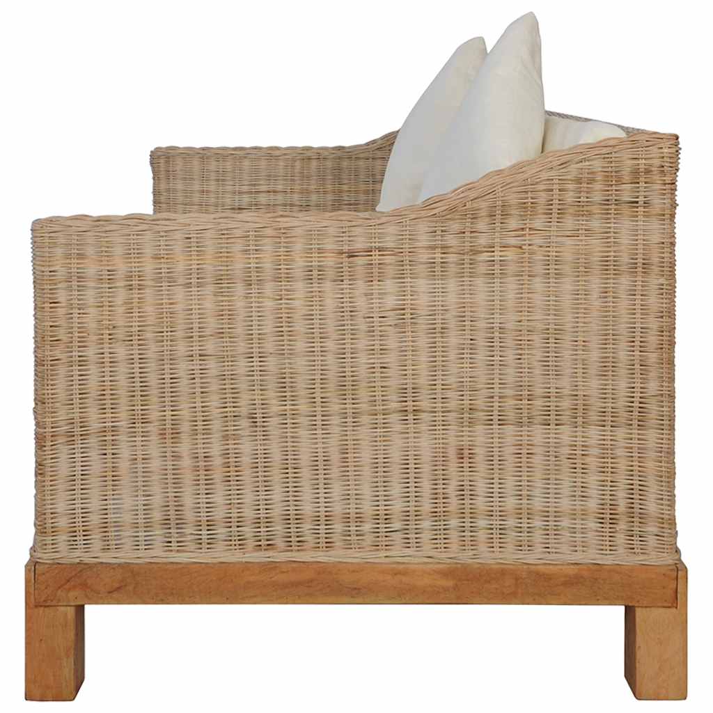 Dvivietė sofa su pagalvėlėmis, natūralus ratanas