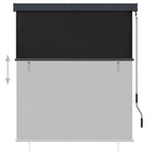 Lauko roletas, 140x250cm, antracito spalvos