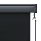 Lauko roletas, 140x250cm, antracito spalvos