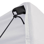 Proginė palapinė su 10 sienomis, antracito, 6x4m, HDPE