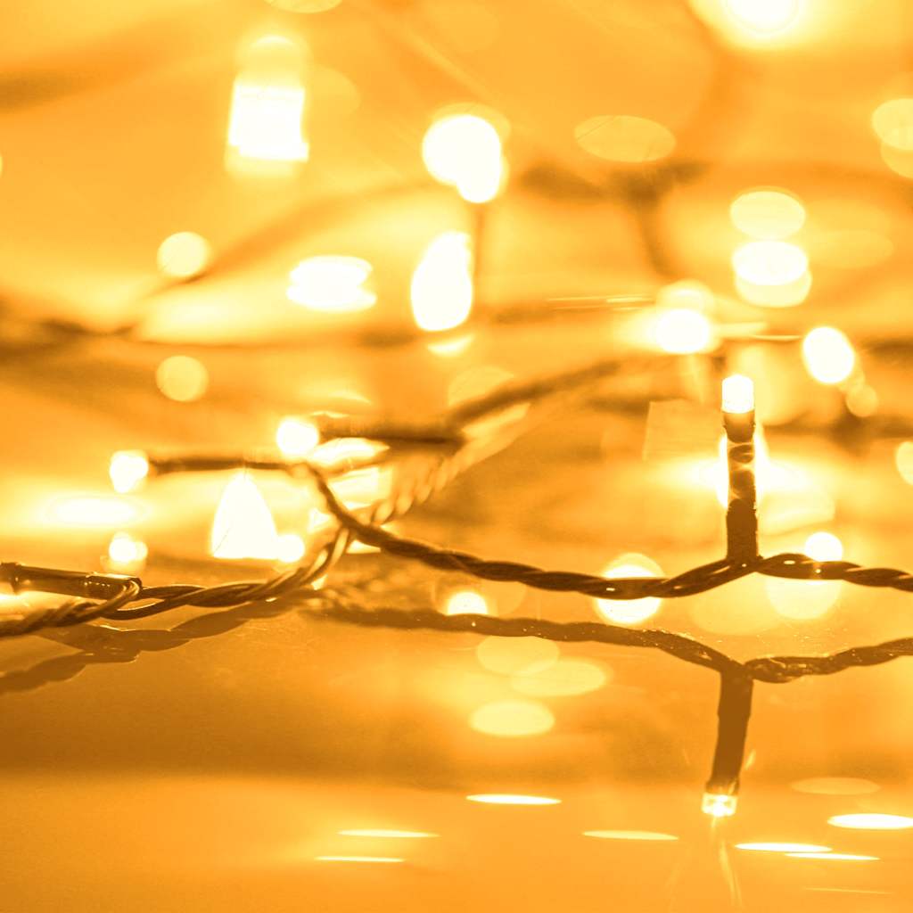 Girlianda su 2000 LED lempučių, šilta balta, 200mm, IP44