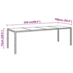 Sodo stalas, juodas, 250x100x75cm, stiklas ir poliratanas