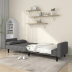 Dvivietė sofa-lova su dvejomis pagalvėmis, pilka, audinys