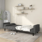 Dvivietė sofa-lova su dvejomis pagalvėmis, pilka, audinys
