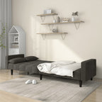 Dvivietė sofa-lova su dvejomis pagalvėmis, pilka, aksomas