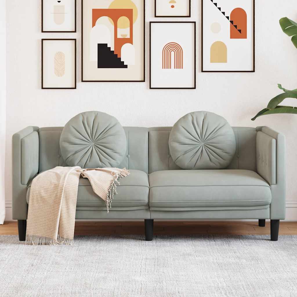 Dvivietė sofa su pagalvėlėmis, šviesiai pilkos spalvos, aksomas