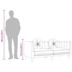 Dvivietė sofa su pagalvėlėmis, juodos spalvos, aksomas