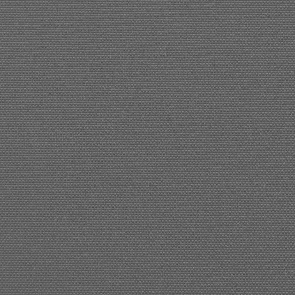 Ištraukiama šoninė markizė, antracito spalvos, 117x300 cm