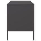 Televizoriaus spintelės, 2vnt., juodos, 68x39x50,5cm, plienas