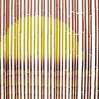 Vabzdžių durų užuolaidos, palmės spaudinys, 100x200cm, bambukas
