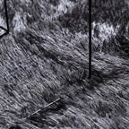 Shaggy tipo kilimas, NAVARRA, 240x340 cm, aukšti šereliai