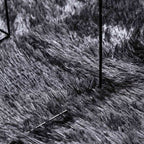 Shaggy tipo kilimas, NAVARRA, 300x200 cm, tamsiai pilka