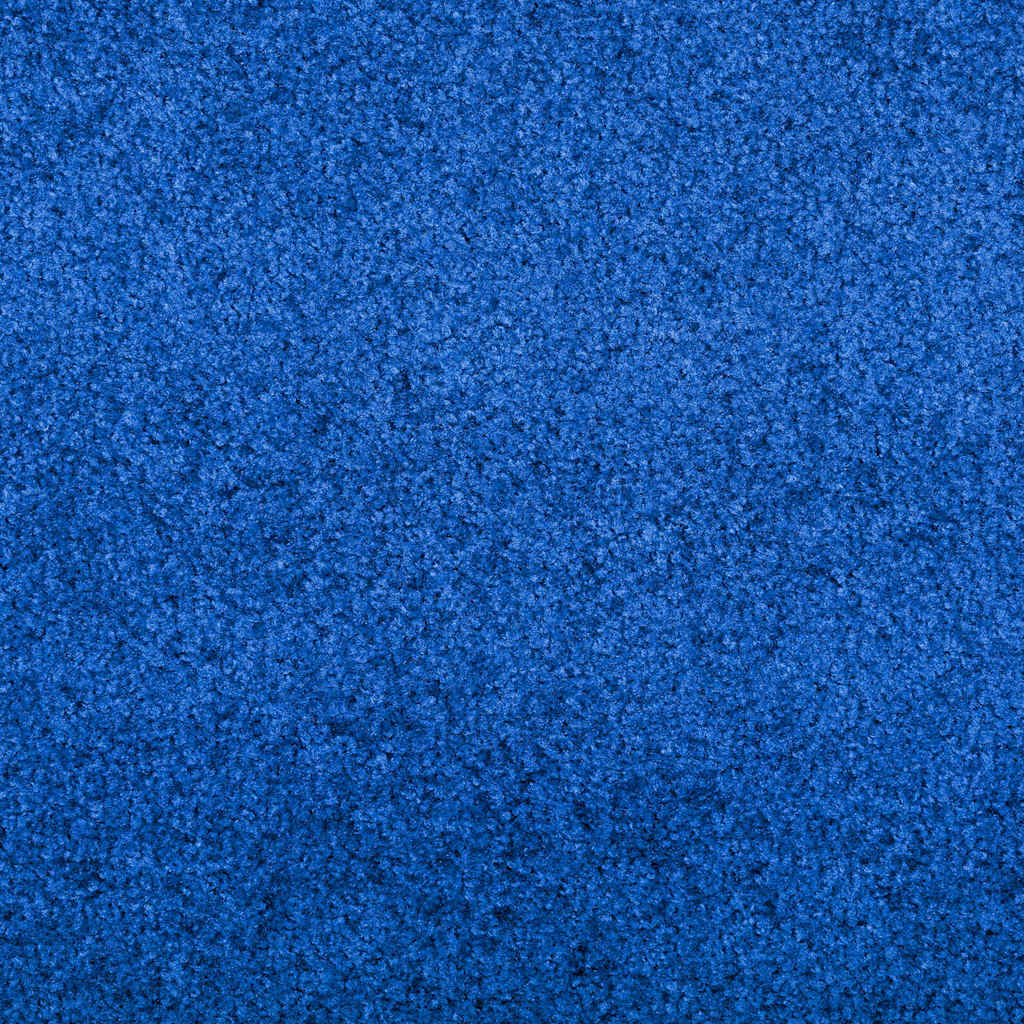 Durų kilimėlis Mėlyna ir juoda 120 x 350 cm Poliamidas ir PVC