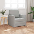 Sofa lova Debesų pilka 74 x 77 x 81 cm Aksomas