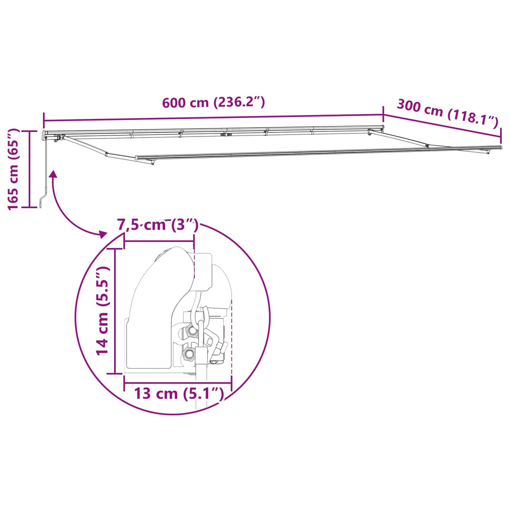 Ištraukiama markizė Įvairiaspalvis 600 × 300 cm