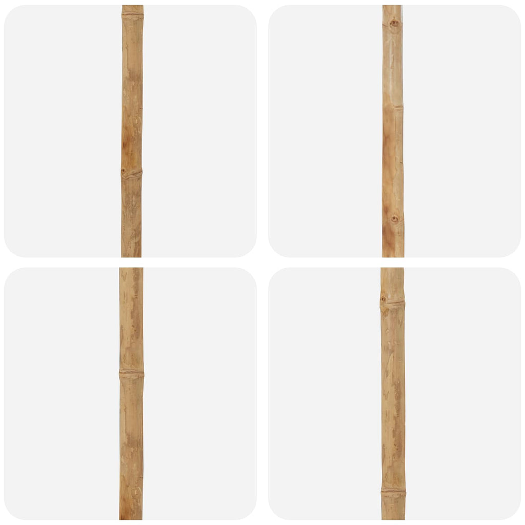 Sodo skėtis bambukas
