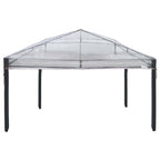 Paviliono dangos keitimas Skaidrus 300 x 300 x 26 cm PVC