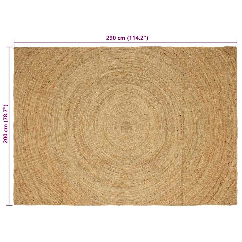 Zoninės kiliminės dangos Ruda 200 x 290 cm Džiutas