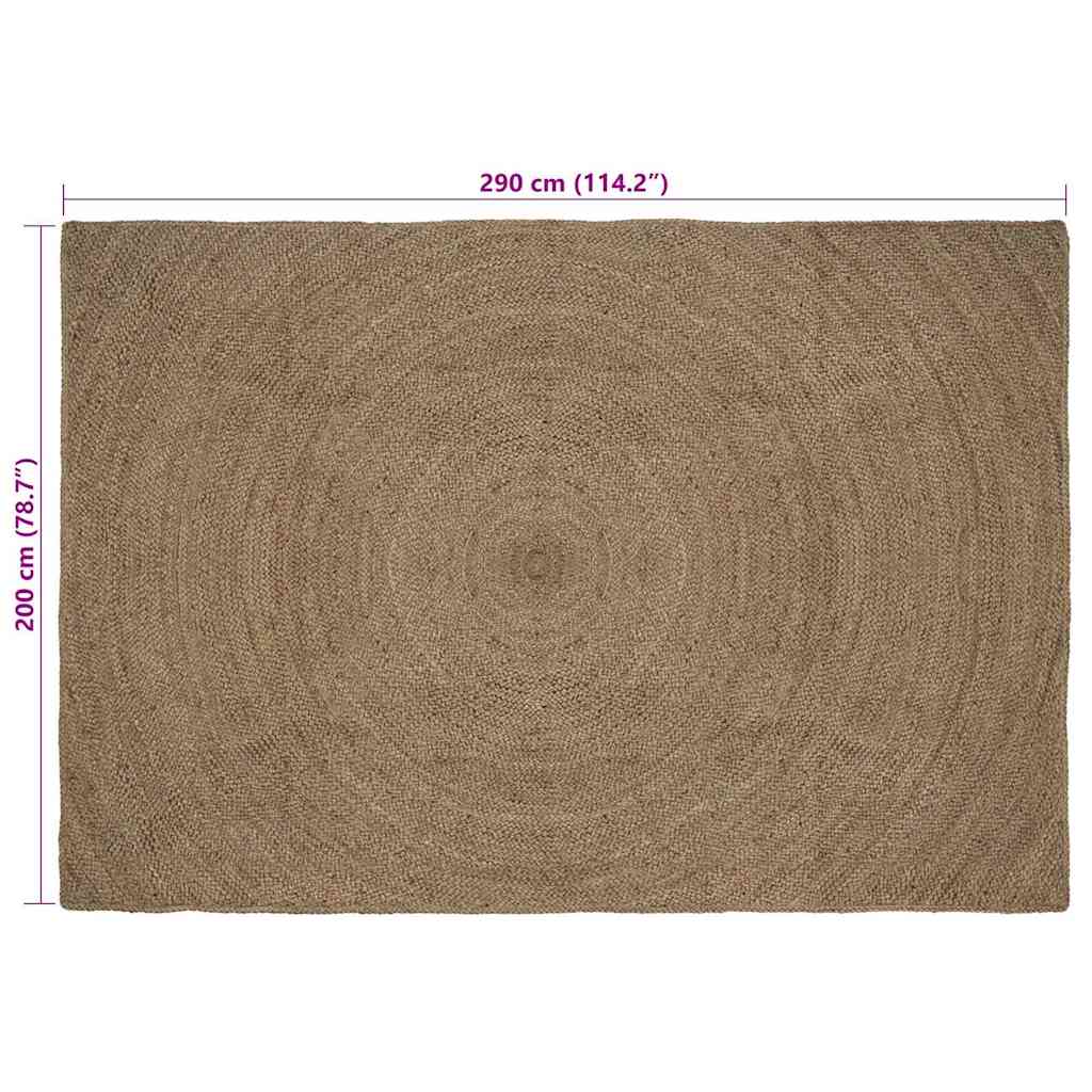 Zoninės kiliminės dangos Pilka 200 x 290 cm Džiutas