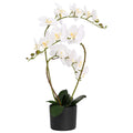 Dirbtinė orchidėja su vazonu Balta 45 x 15 x 65 cm